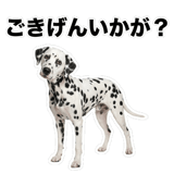 840306349
