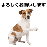 840306572