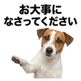 840306578