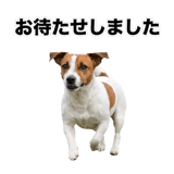840306585