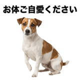 840306603