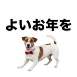 840306604