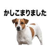 840306608