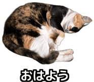 840307633