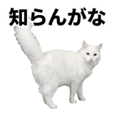 840307772