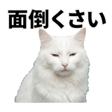 840307779