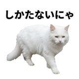 840307787