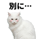 840307797