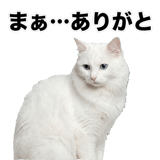 840307798