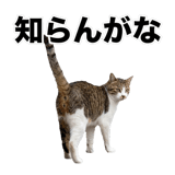 840307812