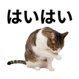 840307813