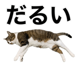 840307817