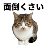 840307818