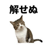 840307825