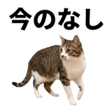 840307832