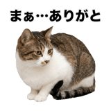 840307837