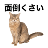840307882