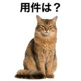 840307883