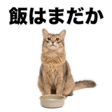 840307886
