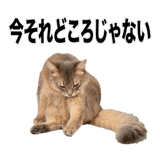 840307899