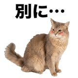 840307900