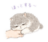 840308017