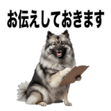 840308400
