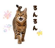 840309290