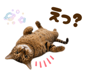 840309316