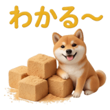 840309584