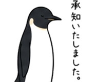 840310062
