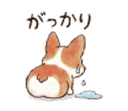 840310161