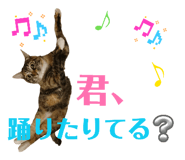 840311759