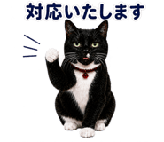 840311859