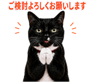 840311888