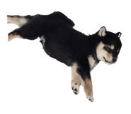 840312043