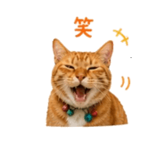 840312310