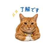 840312314