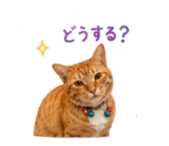 840312325