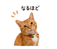 840312328