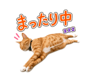840312334