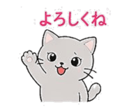 840313162