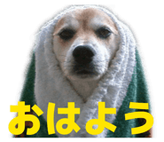 840313401
