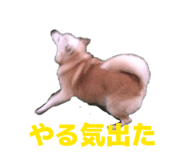 840313402
