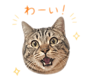 840313860