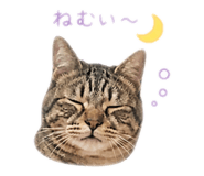840313862