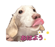 840314092