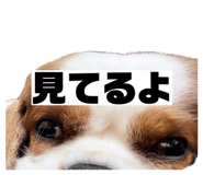 840314227