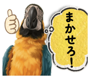 840315552