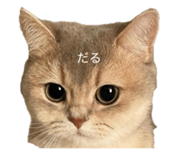 840334570